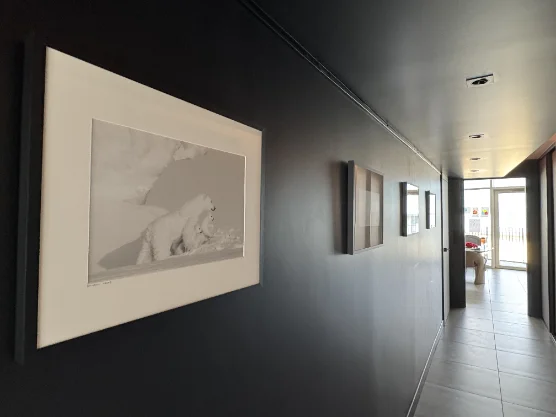 Interior detail of the Annecy74 penthouse